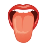 49,900+ Tongue Stock Illustrations, Royalty-Free Vector Graphics & Clip Art  - iStock | Taste, Sticking out tongue, Mouth